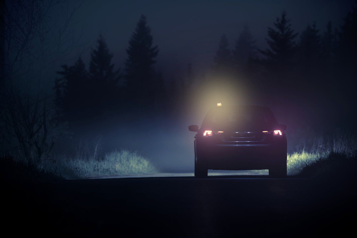 LEDGuardian® Road Flare Signal TA20 Warn- Notleuchte / Taschenlampe OSRAM Autoteile TRUST